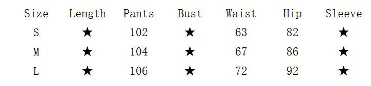 Sheer Mesh Wide Flare Pants