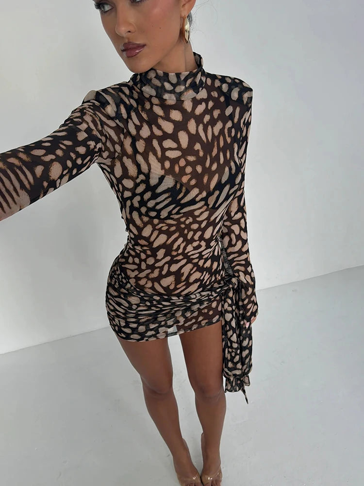 Beck Sheer Leopard Dress