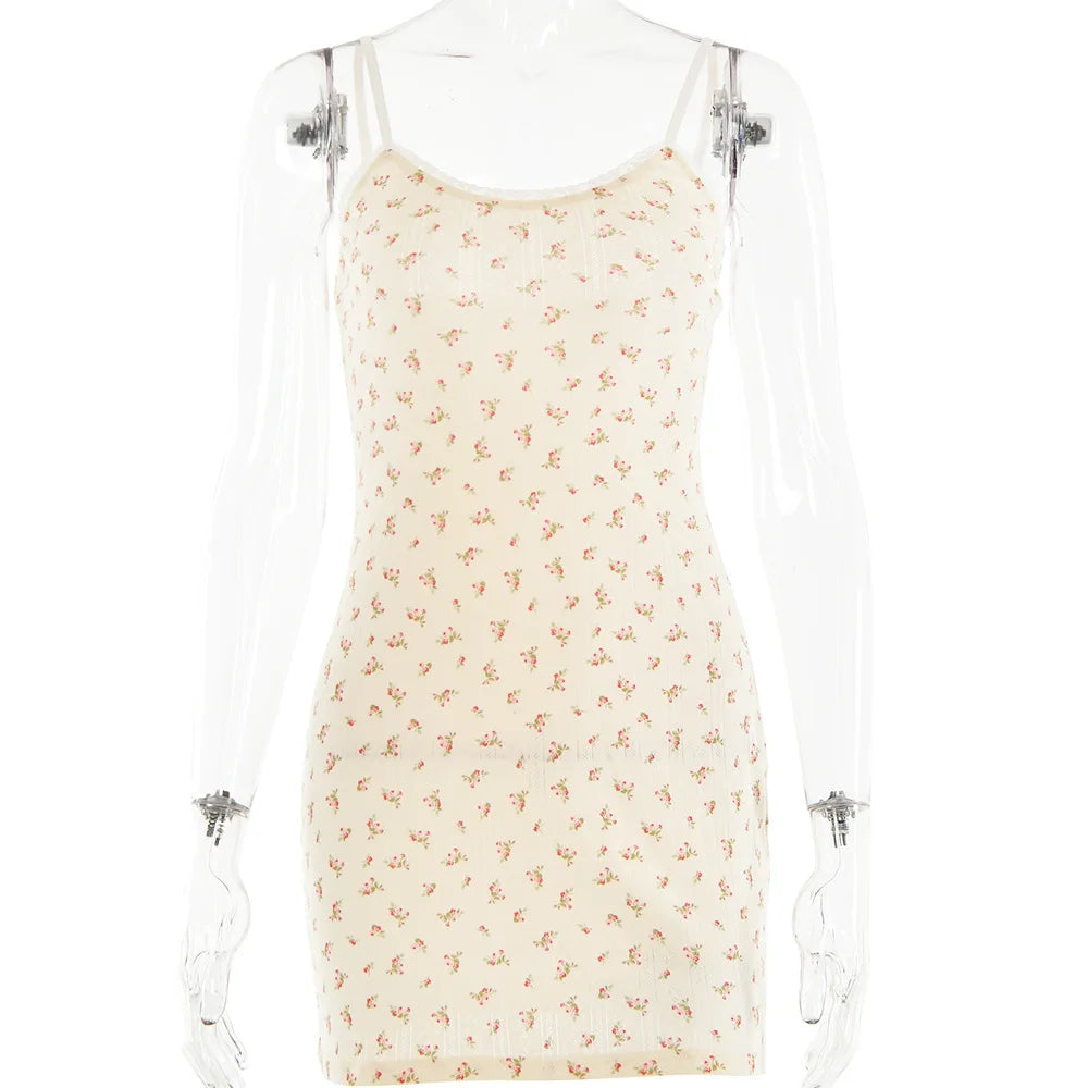 49066889183511|49066889216279|49066889249047